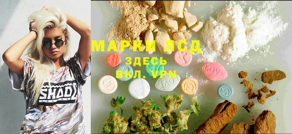 спиды Аркадак
