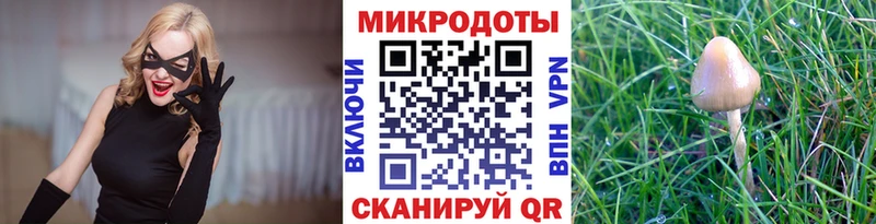 Галлюциногенные грибы Psilocybe Мышкин